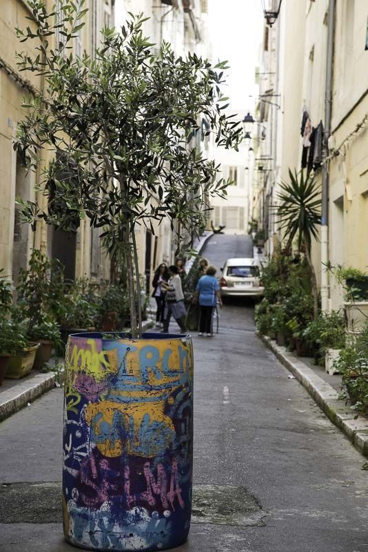 Marsella Le Panier Planta
