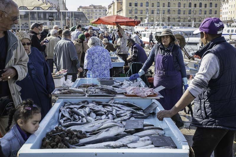 Marsella. Mercado de pescado