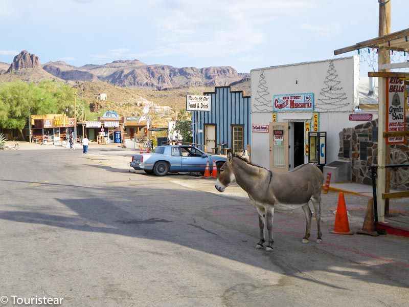 Oatman, Route 66