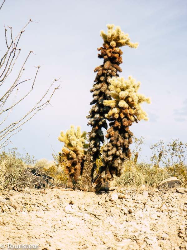 Route 66 Amboy to Kingman