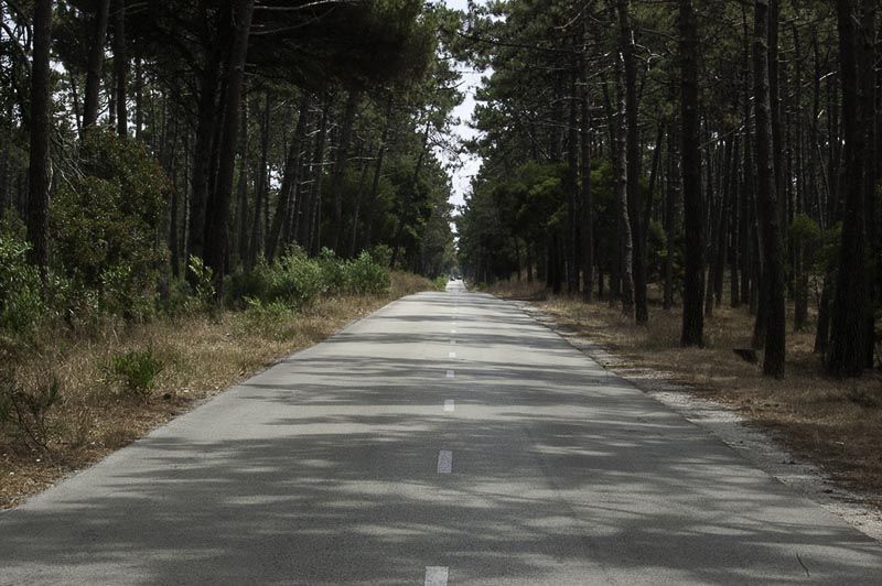 Aveiro nazare road