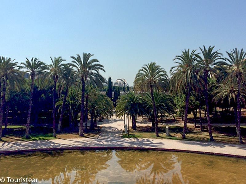 valencia jardines del turia