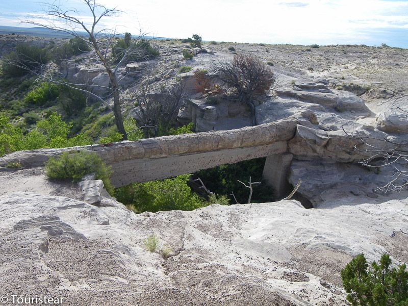 agate bridge petrified forest