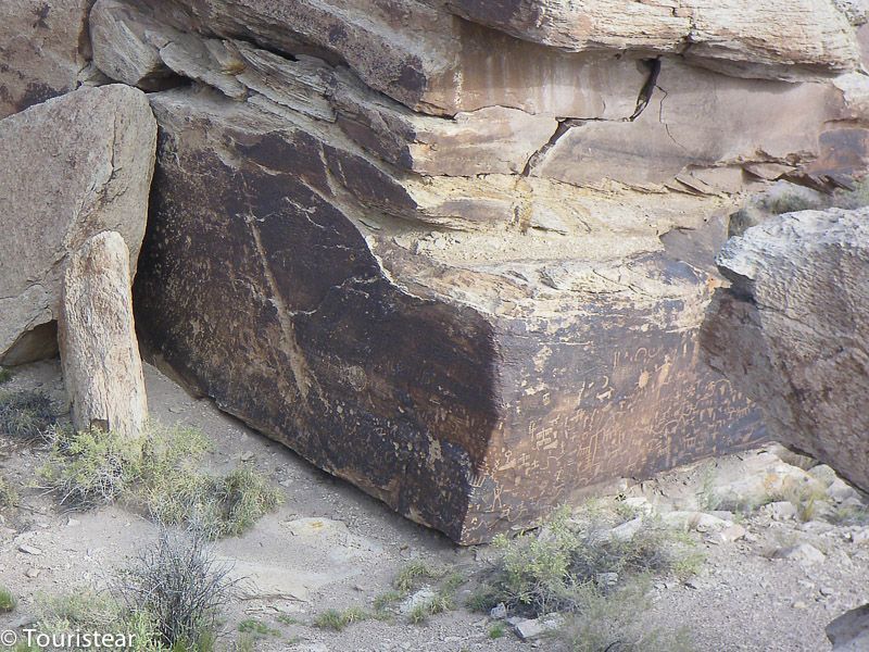 Petroglyphs Petrified Forest