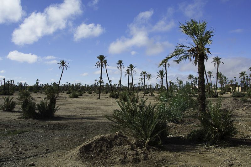 Marrakech