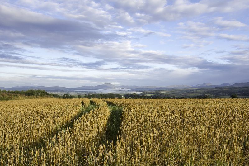 Stirling to Glencoe