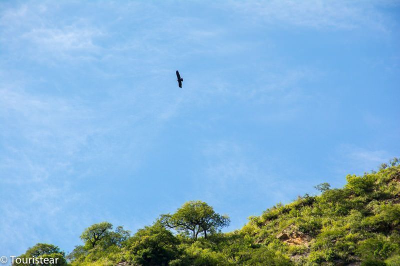 valles calchaquies salta