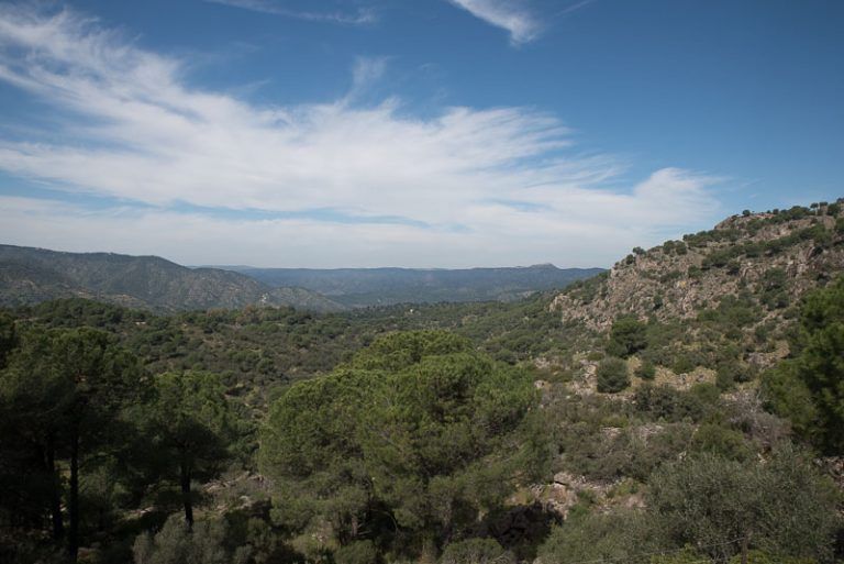 El parque natural de la sierra de Andújar, turismo activo en Jaén El parque natural de la sierra de Andújar, turismo activo en Jaén