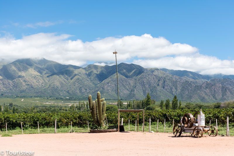 cafayate, argentina