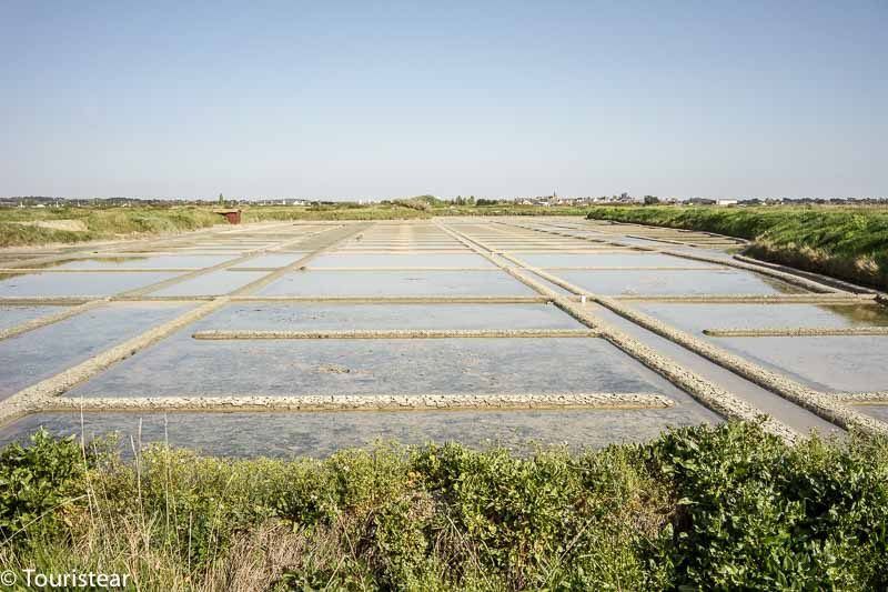 salt flats of guerande, France