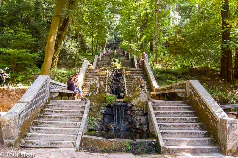 Buçaco, road trip through Portugal from north to south