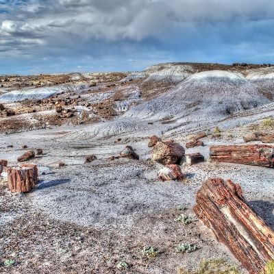 Petrified Forest, Route 66