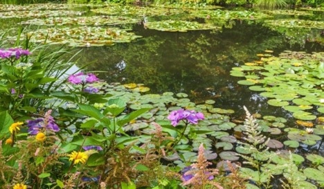 Excursión de un día a Giverny desde París