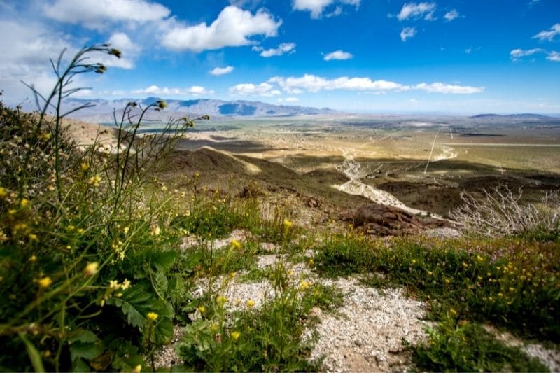 Galleta Meadows at Borrego Springs