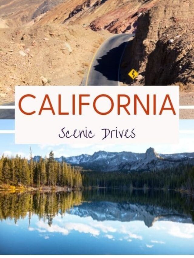 The Most Scenic Drives in California You Should Visit