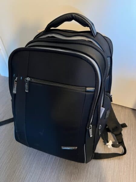 Samsonite Fer backpack