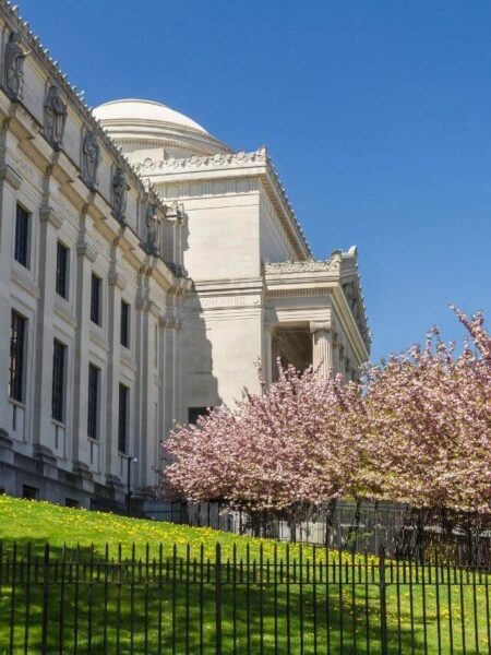 Museo de Brooklyn