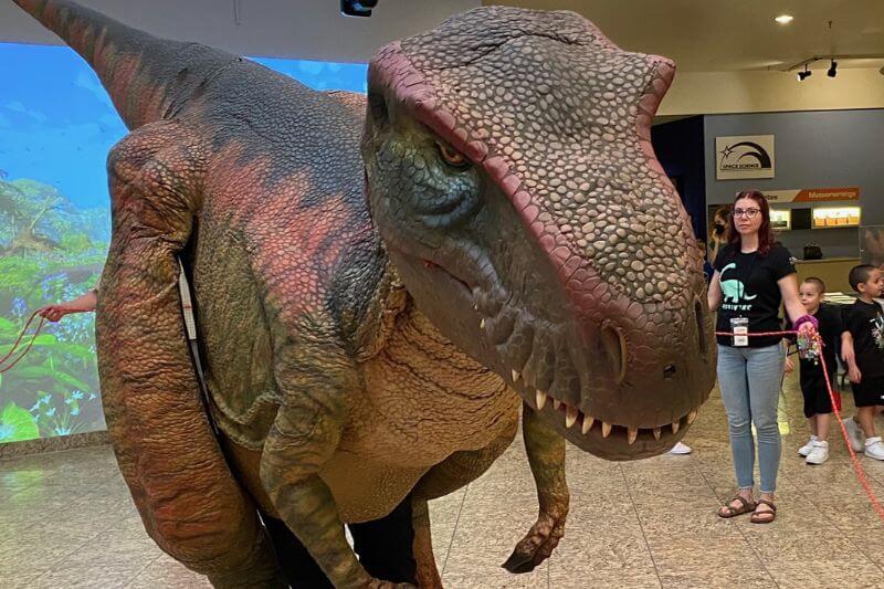Dinosaurio en Museo Ciencia Albuquerque