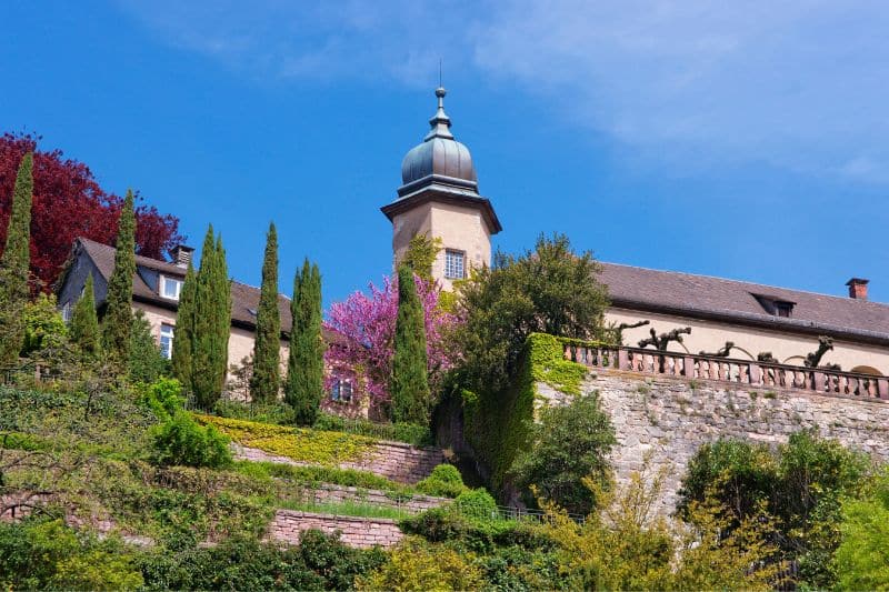 selva negra alemania baden baden