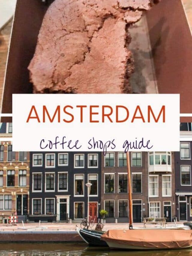 Coffeeshops in Amsterdam: Guide for Beginners