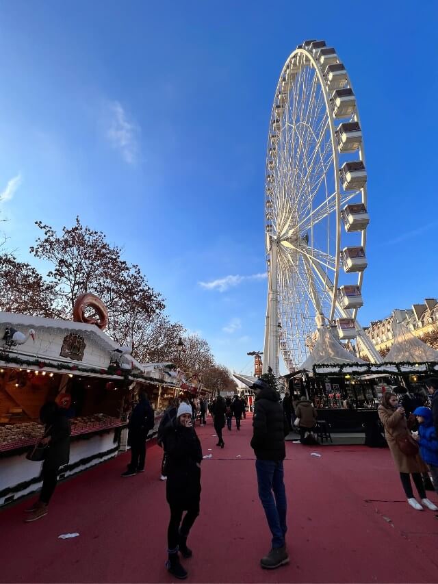 Jardin de Tuileries in December