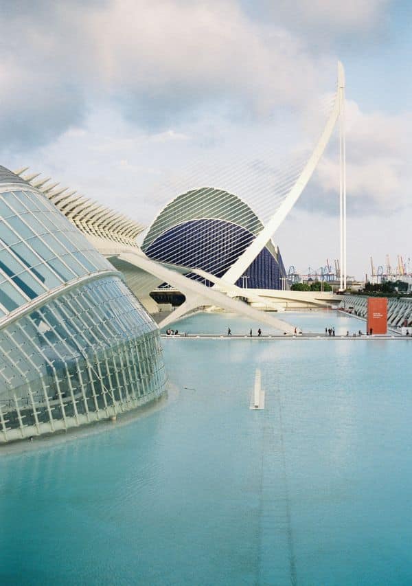 Miniturismo cultural en Valencia: Conoce el Oceanografic