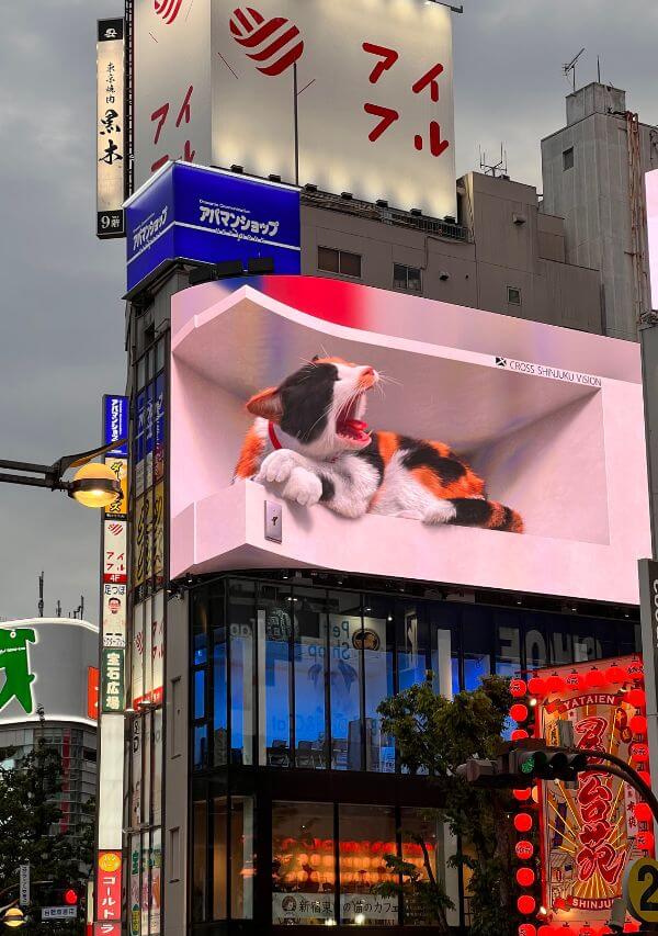 Tokio Shinjuku Neko