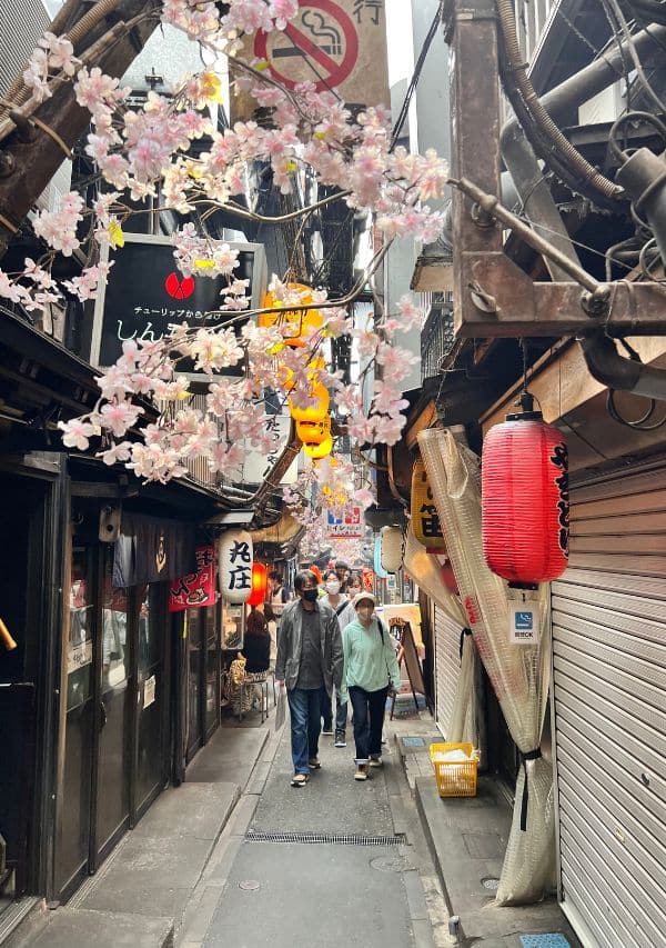 tokyo-yokocho