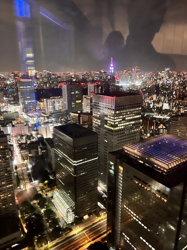 Tokyo City Hall viewpoint in Shinjuku
